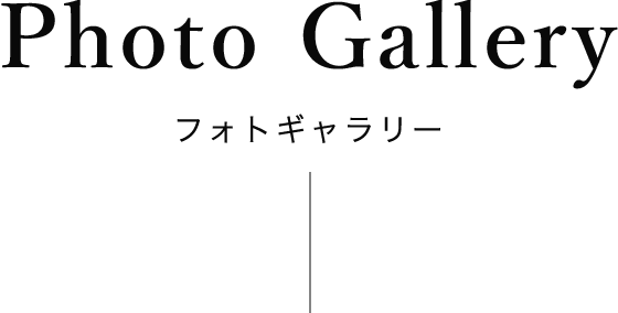 Photo Gallery フォトギャラリー