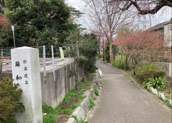 コーヅ桜上水ハイツ　藤和緑地（公園）／1025m　